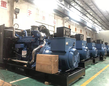 国内某养殖项目指定批量采用PA视讯游戏500KW/400V陆用发电机